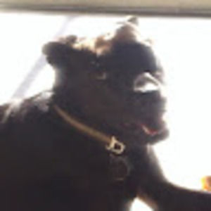 Meet your Posher, Justin